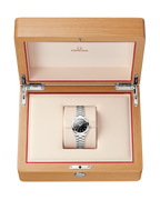 Seamaster Aqua Terra 150M