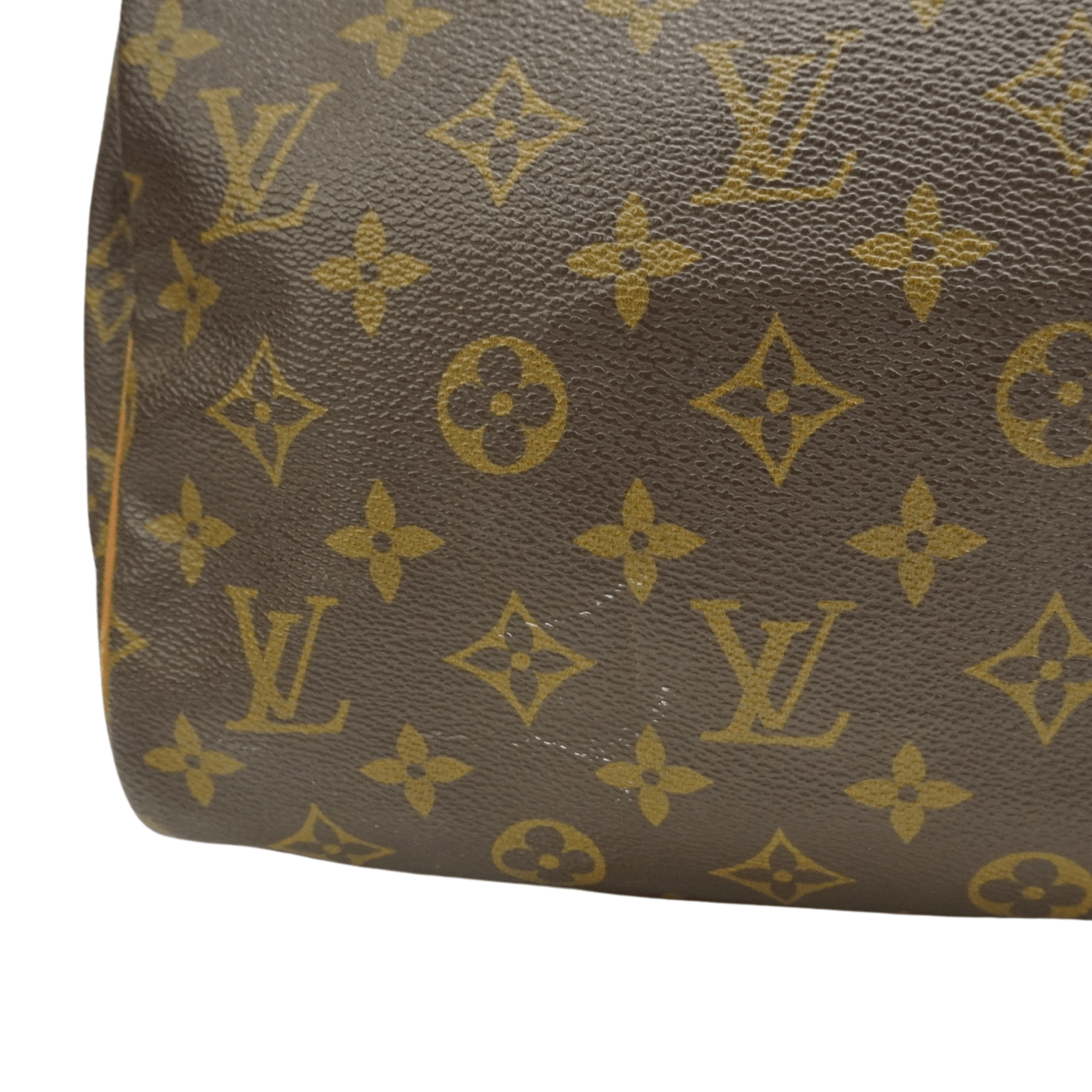 Louis Vuitton 'Speedy 30' Bag