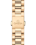 Seamaster Aqua Terra 150M