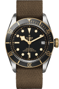Tudor Black Bay S&G Ref - M79733N-0005
