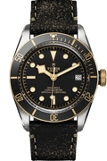 Tudor Black Bay S&G Ref - M79733N-0007