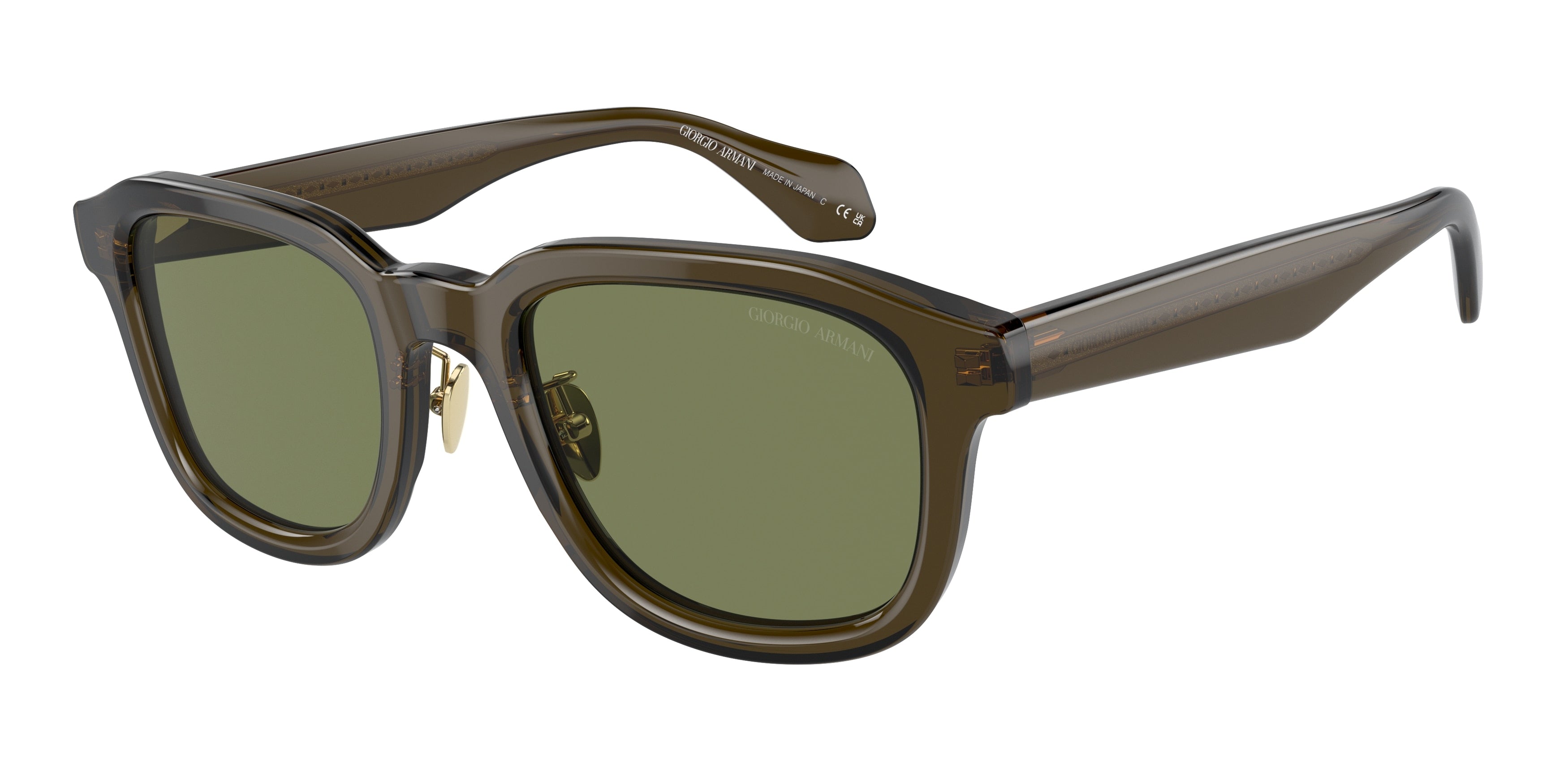 Giorgio Armani 0AR8206