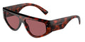 Dolce&Gabbana 0DG4461