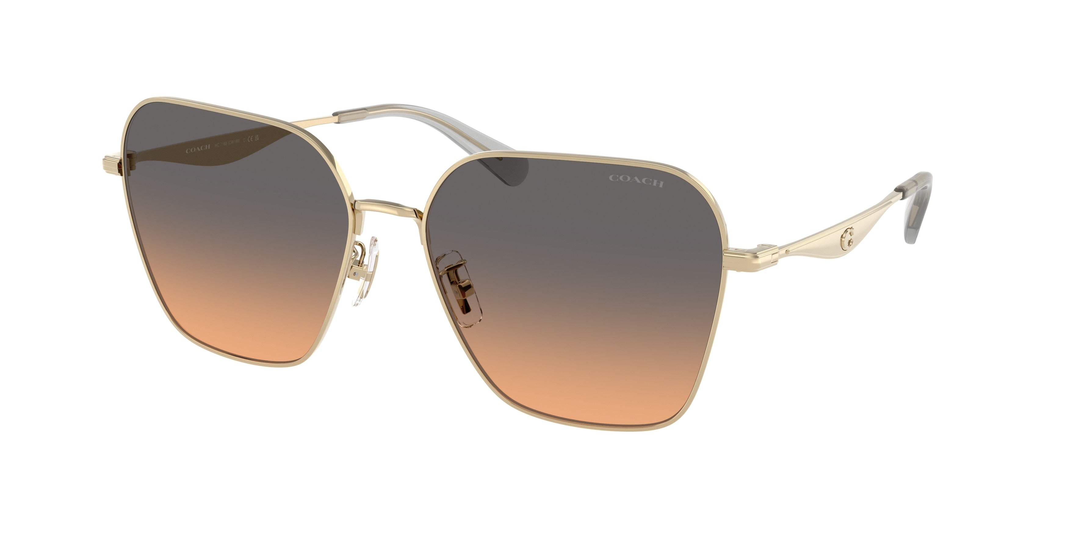 Coach 0HC7168 CW189