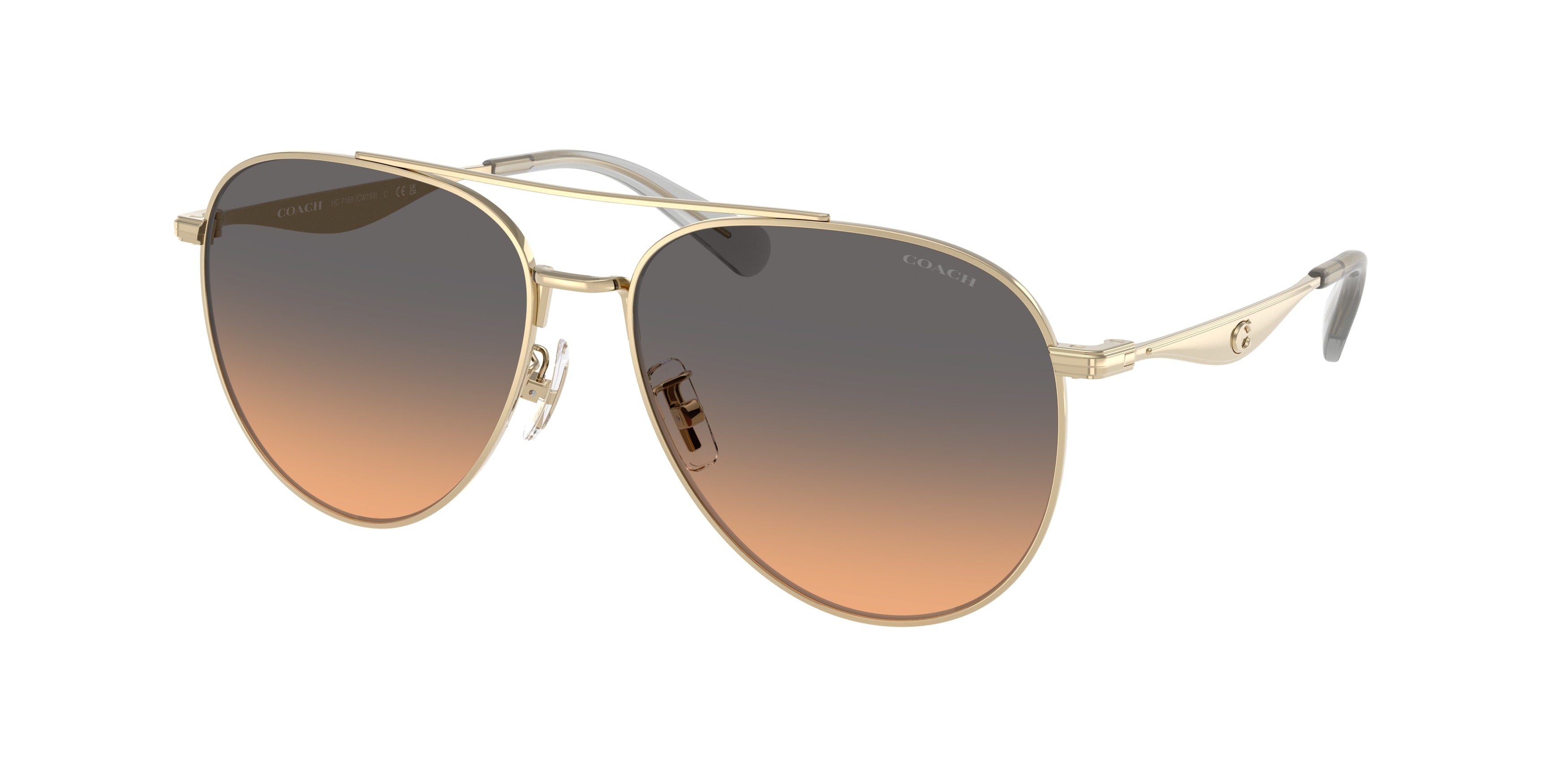 Coach 0HC7169 CW193