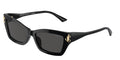 Jimmy Choo 0JC5011U