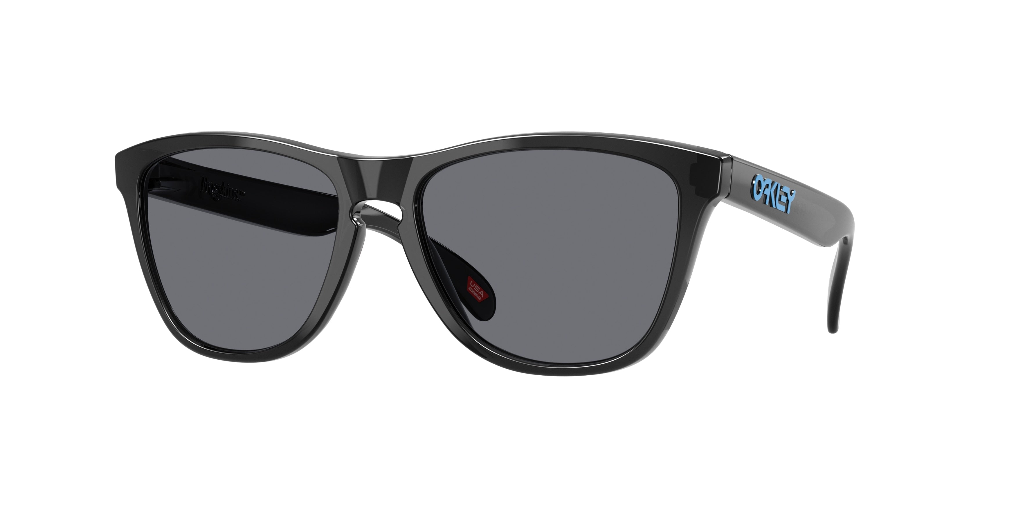 Oakley 0OO9013 FROGSKINS