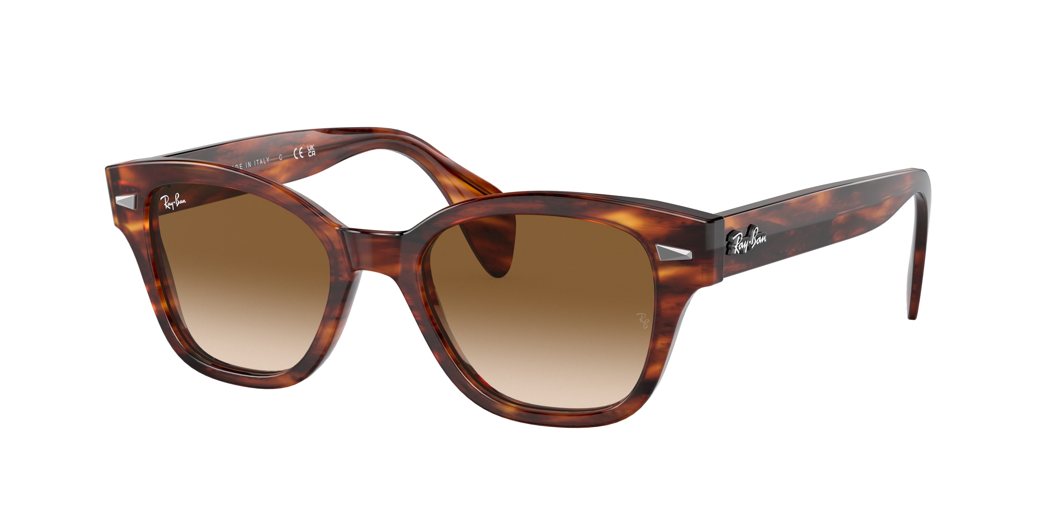 Ray-Ban 0RB0880S