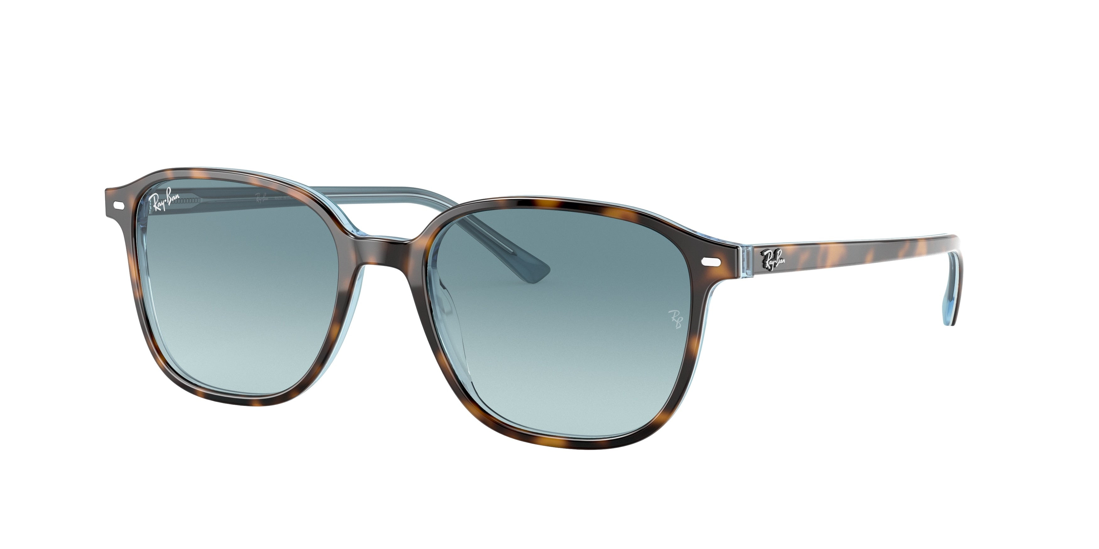 Ray-Ban 0RB2193 LEONARD