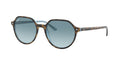 Ray-Ban 0RB2195 THALIA