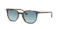 Ray-Ban 0RB2197 ELLIOT