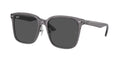 Ray-Ban 0RB2206D