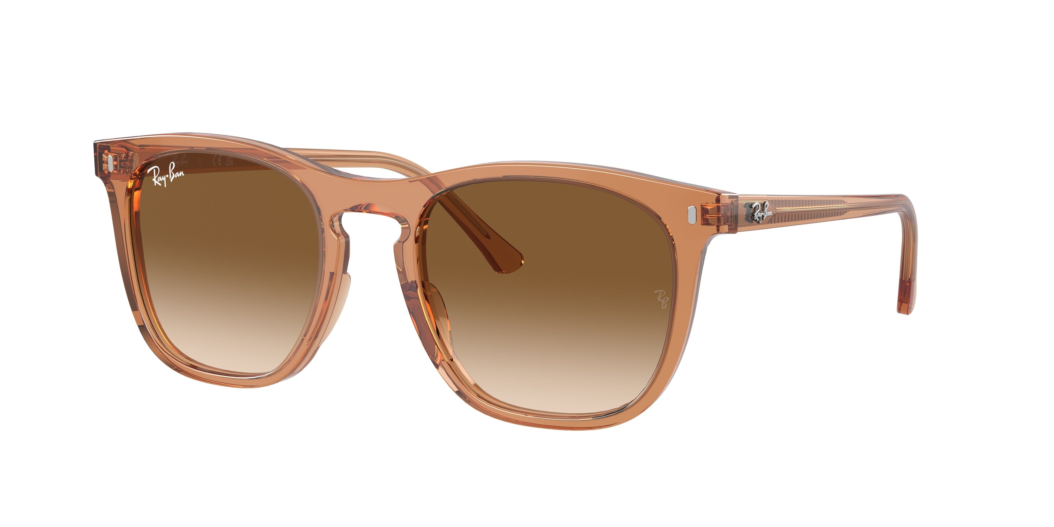 Ray-Ban 0RB2210F