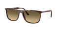 Ray-Ban 0RB2216F