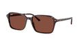 Ray-Ban 0RB2231F RAIMOND