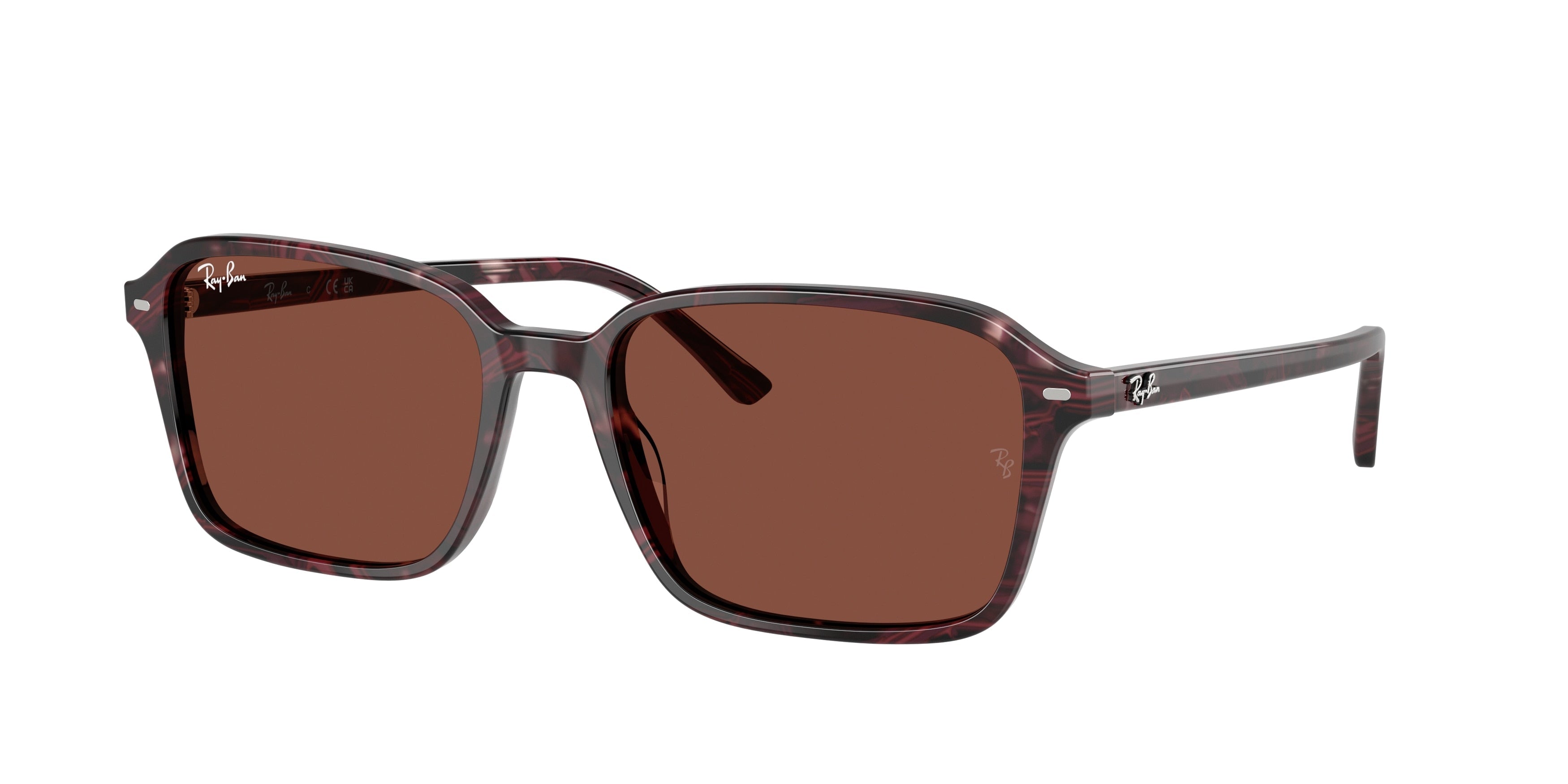 Ray-Ban 0RB2231F RAIMOND
