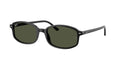 Ray-Ban 0RB2232