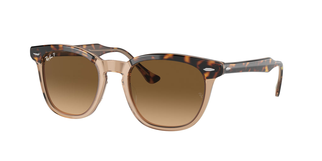 Ray-Ban 0RB2298 HAWKEYE