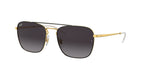 Ray-Ban 0RB3588