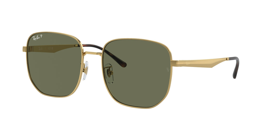 Ray-Ban 0RB3713D