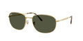 Ray-Ban 0RB3754
