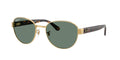 Ray-Ban 0RB3766CH