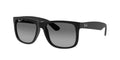 Ray-Ban 0RB4165F JUSTIN