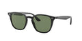 Ray-Ban 0RB4258F