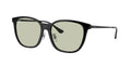 Ray-Ban 0RB4333D