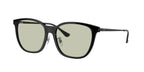 Ray-Ban 0RB4333D