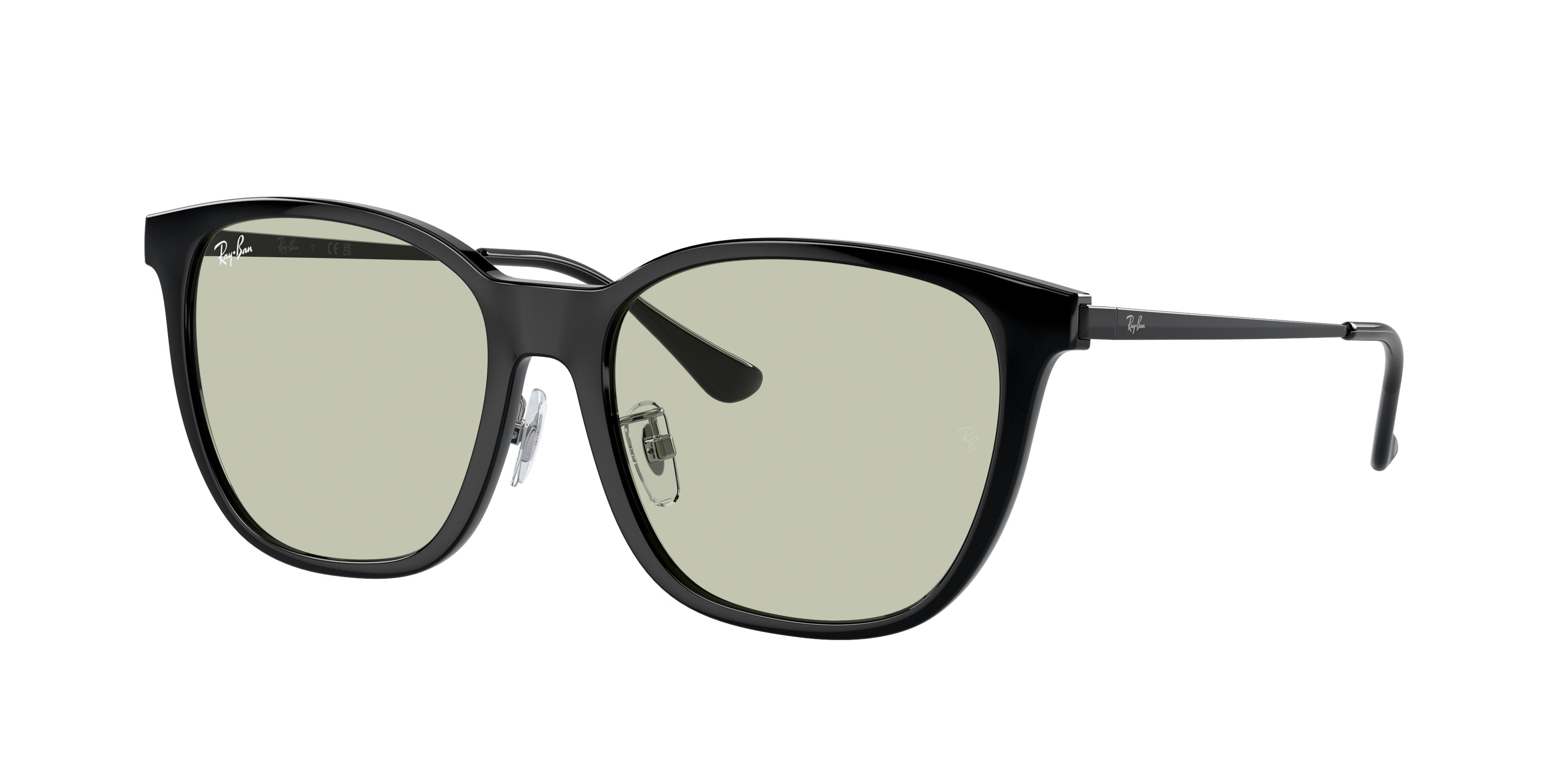 Ray-Ban 0RB4333D