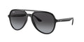 Ray-Ban 0RB4376