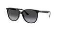Ray-Ban 0RB4378