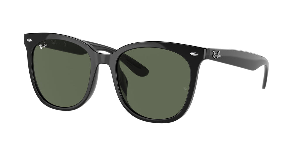 Ray-Ban 0RB4379D