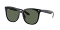 Ray-Ban 0RB4379D
