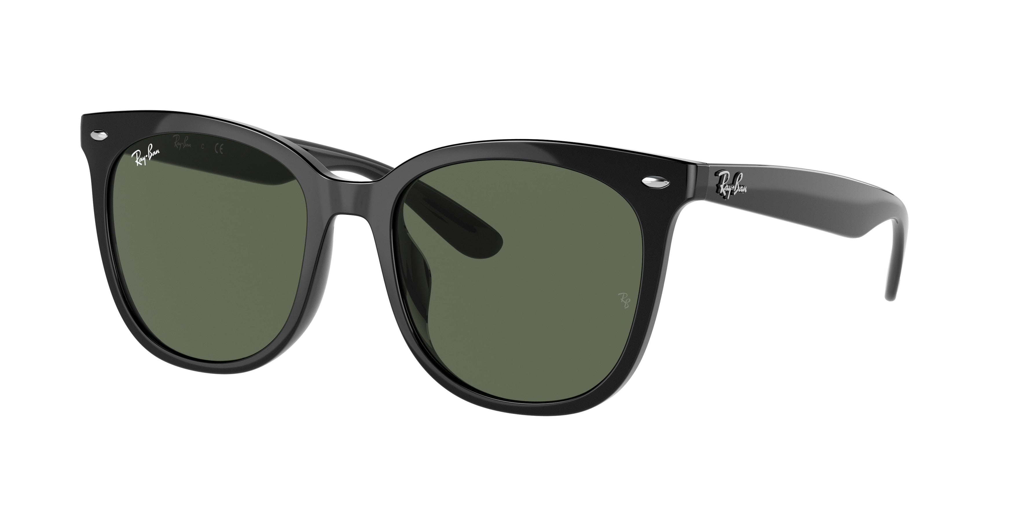 Ray-Ban 0RB4379D