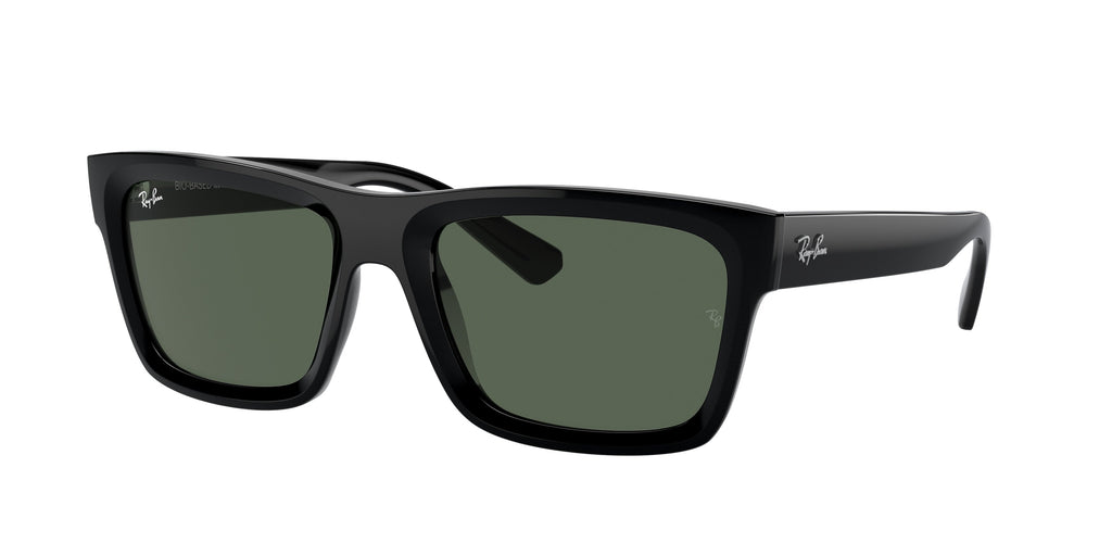Ray-Ban 0RB4396 WARREN