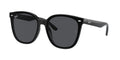 Ray-Ban 0RB4423D