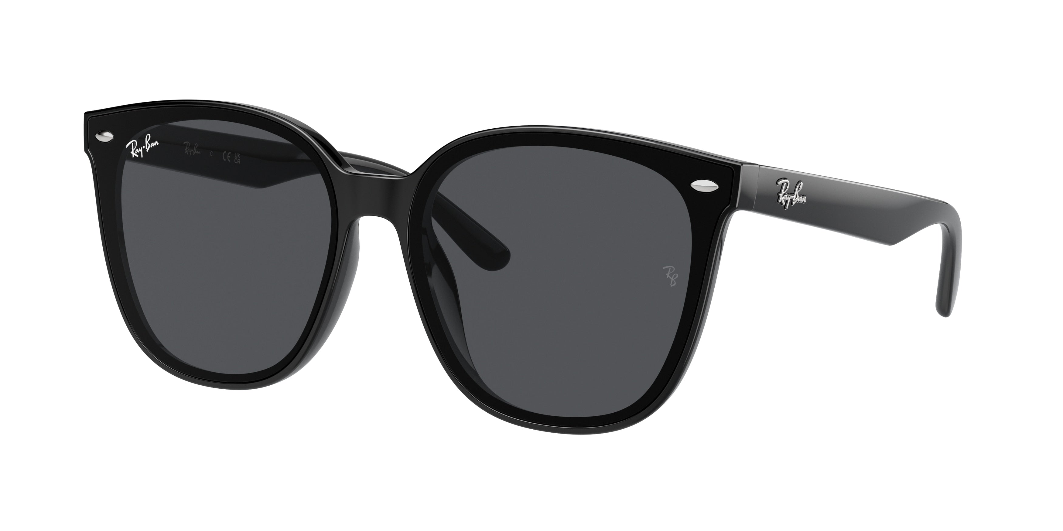 Ray-Ban 0RB4423D