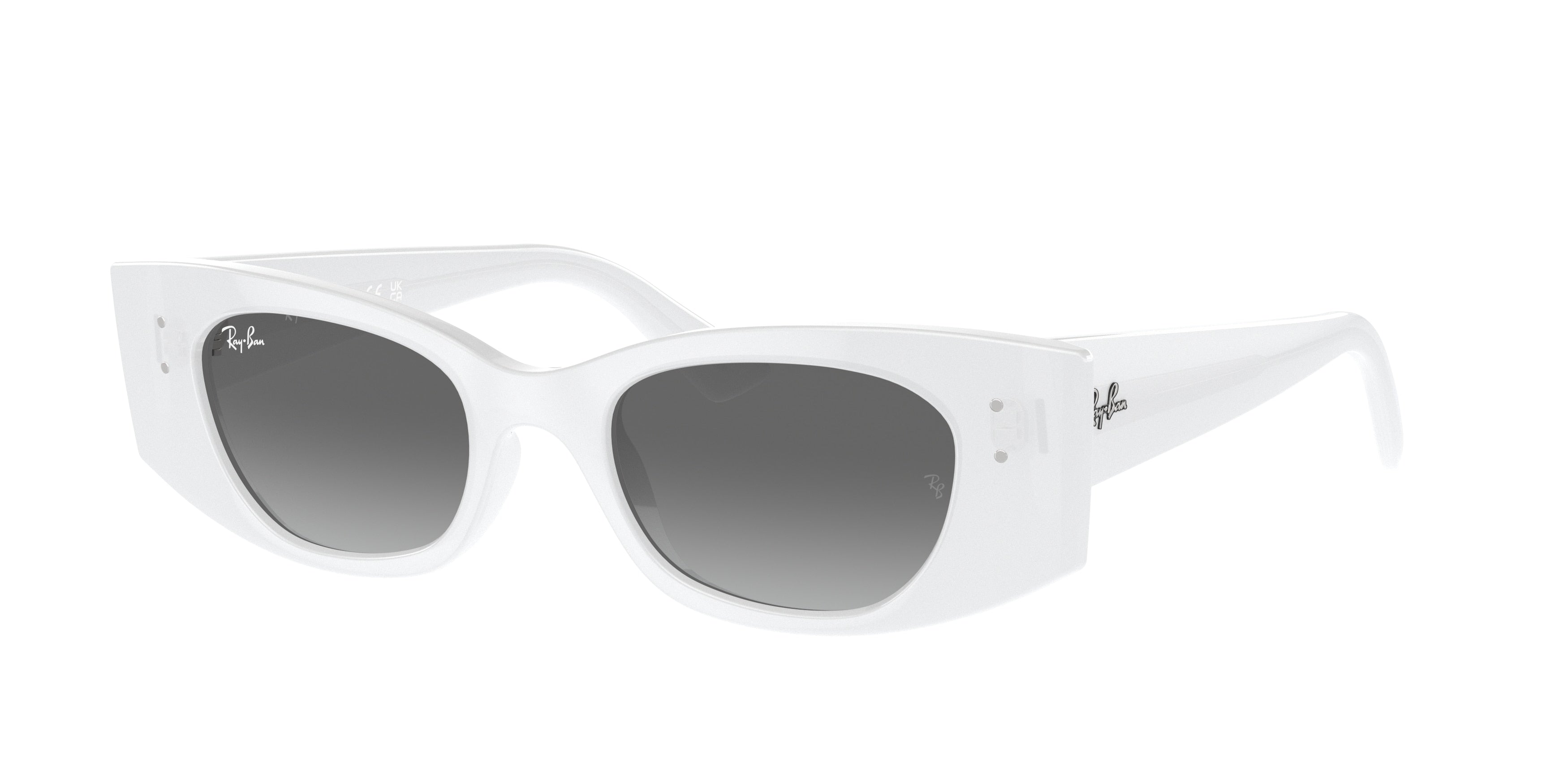 Ray-Ban 0RB4427 KAT