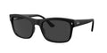 Ray-Ban 0RB4428