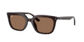Ray-Ban 0RB4439D