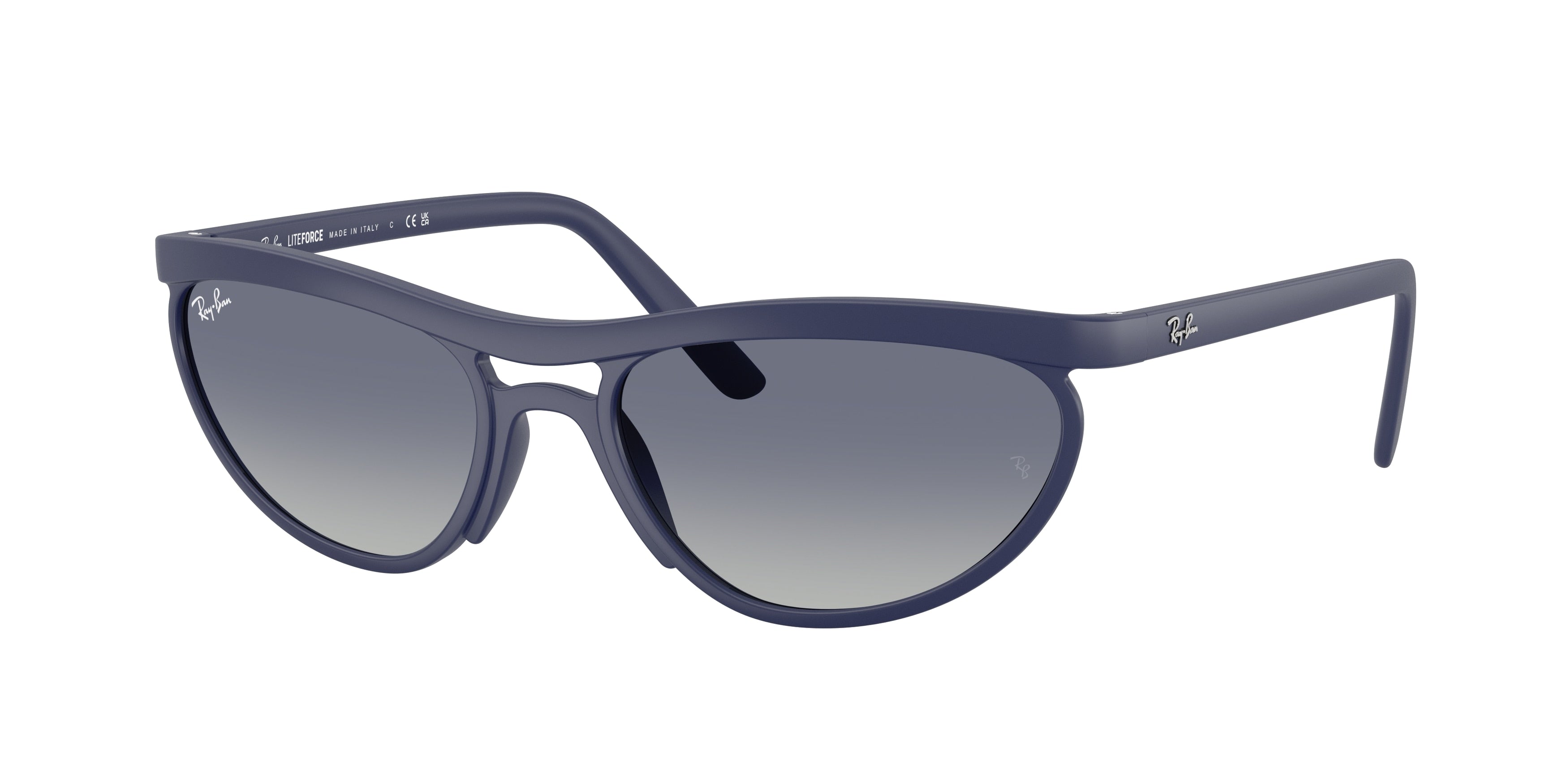 Ray-Ban 0RB4453