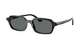 Ray-Ban 0RB4455F ZURI