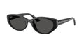 Ray-Ban 0RB4457D