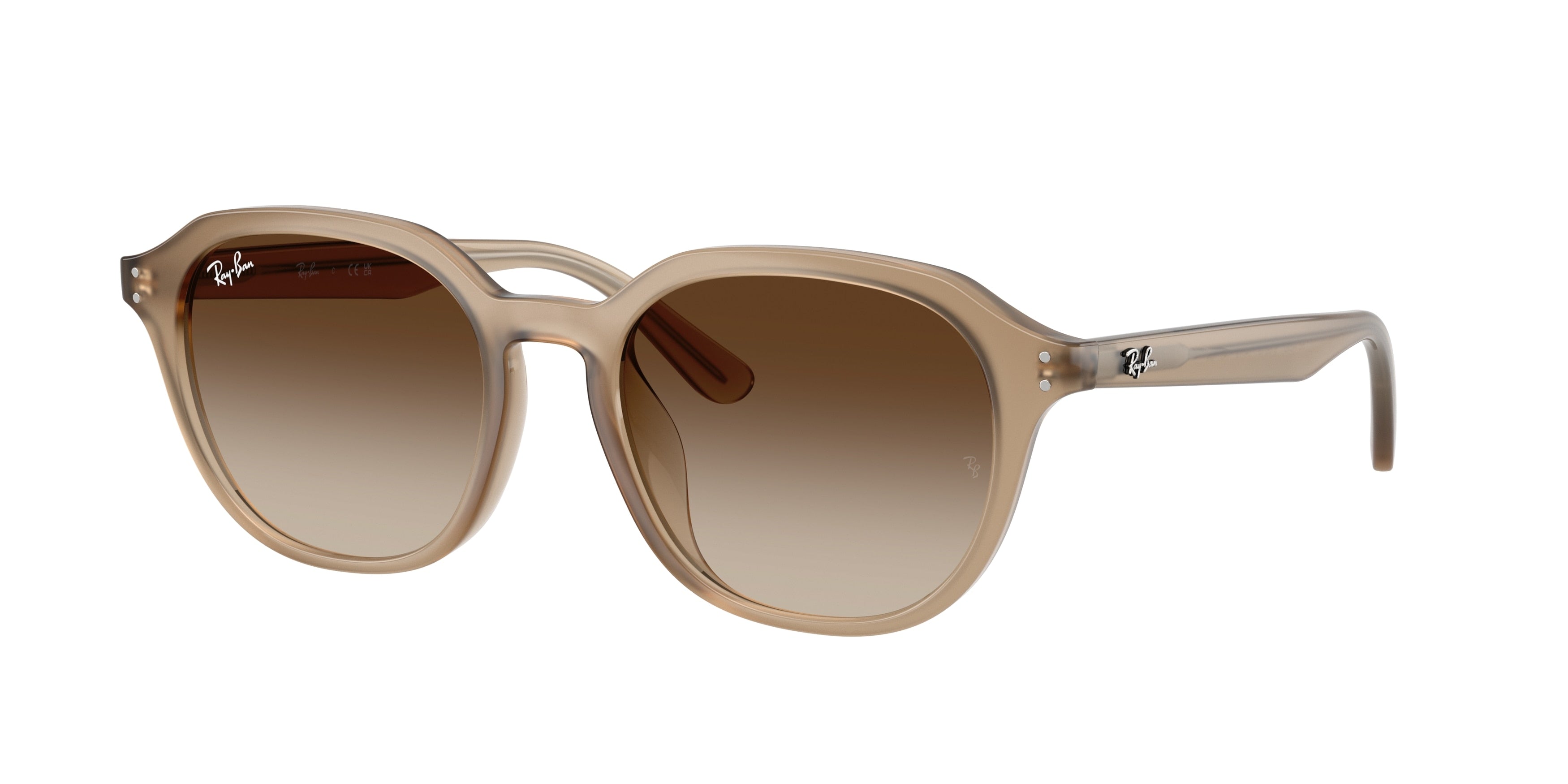 Ray-Ban 0RB4459D