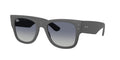Ray-Ban 0RB4840S