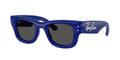 Ray-Ban 0RB4940B WAYFARER PUFFER