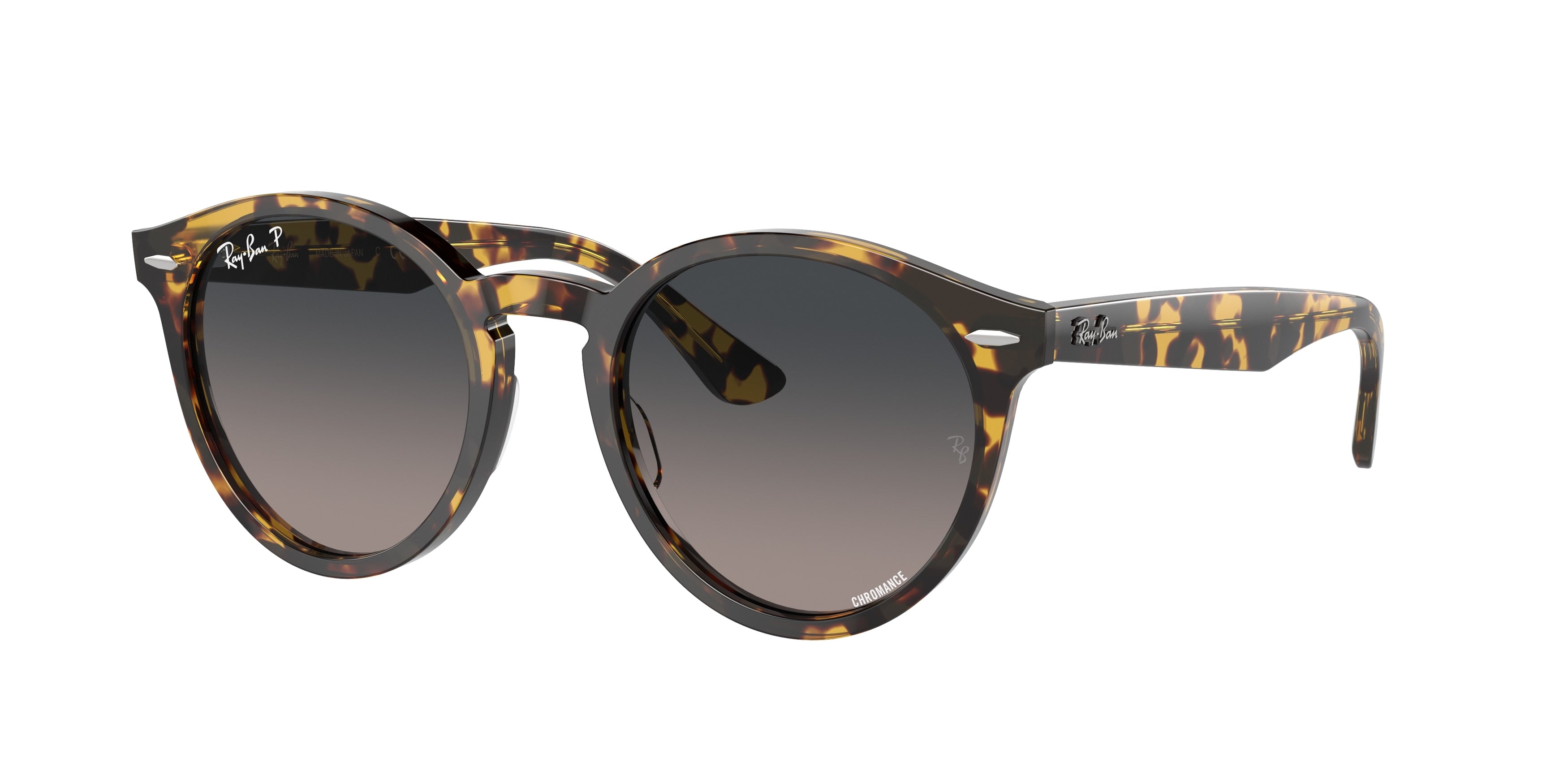Ray-Ban 0RB7680S LARRY