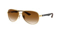 Ray-Ban 0RB8313 CARBON FIBRE
